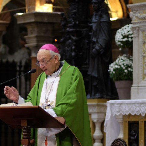 Padova, Pontificia Basilica di S. Antonio, 17 novembre 2019 - Messa